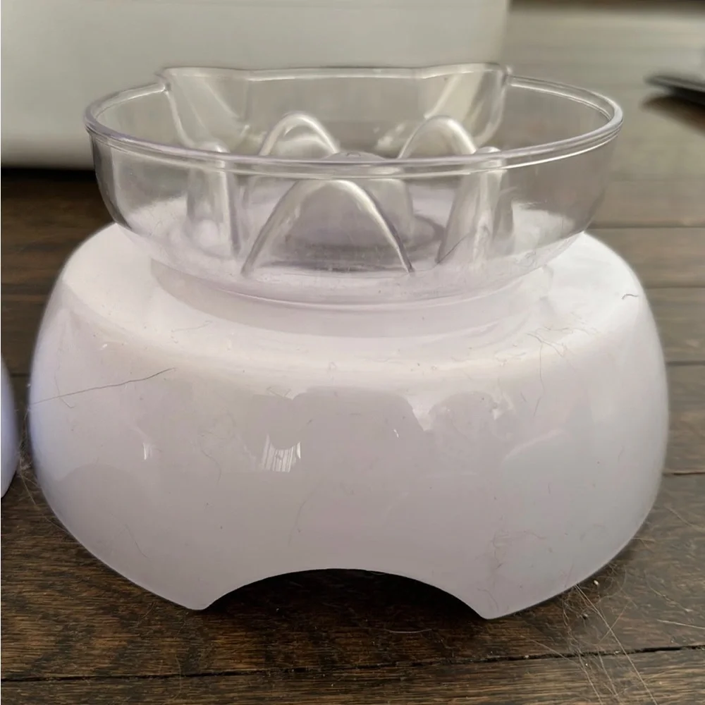 Raised cat bowls